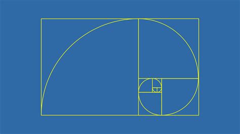 Image result for Math Nature Pattern