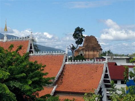 Bed bugs, left before i slept. - Review of Mint House, Chiang Mai ...