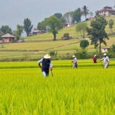 Arunachal farmers embrace climate-resilient farming at Kharif Krishak ...