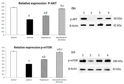 Pioglitazone Synthetic Analogue Ameliorates Streptozotocin-Induced ...