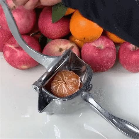 Urban™ Fresh Fruit Juicer: Manual Citrus Press for Healthy & Delicious ...