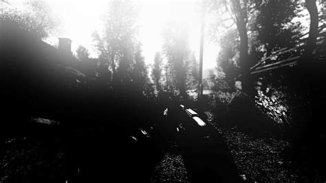 Image result for Stalker Anomaly Mod Background Color Highlight