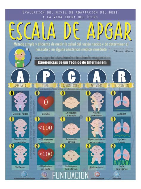 Image result for Que Significa Apgar