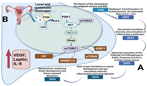 The Multifactorial Pathogenesis of Endometriosis: A Narrative Review ...
