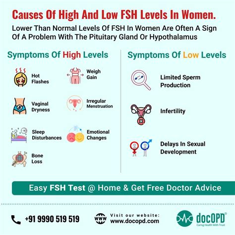 Causes of High And Low FSH Levels In Woman in 2025 | Follicle stimulating hormone, Hormones ...
