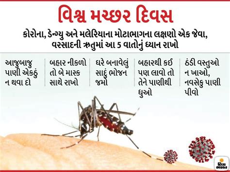 World Mosquito Day 2020 History And Significance; What Country Has The ...