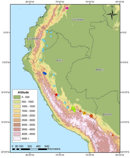 A New Species of Andean Gymnophthalmid Lizard (Squamata ...
