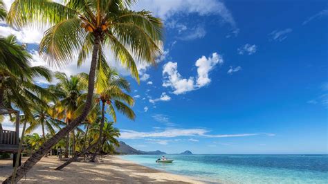 newsroom : Air Mauritius