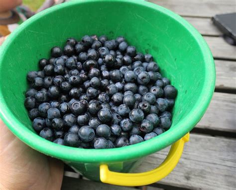 SAMMATTI FARM (Ylojarvi) - Farmhouse Reviews & Photos - Tripadvisor