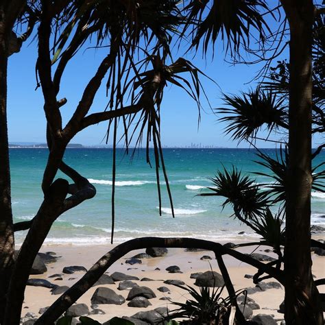 STEAL MY TRIP (2026) All You Need to Know BEFORE You Go (with Photos ...