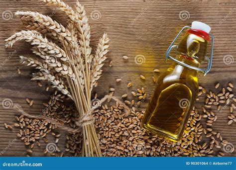 Wheat germ oil stock photo. Image of grain, vegetable - 90301064