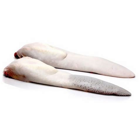 Frozen Buffalo Offal - Buffalo Salted Omasum Manufacturer from Mumbai