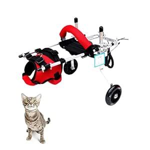 Cat Wheelchair, Lightweight 2 Wheels Pet Wheelchair, Adjustable Cat ...