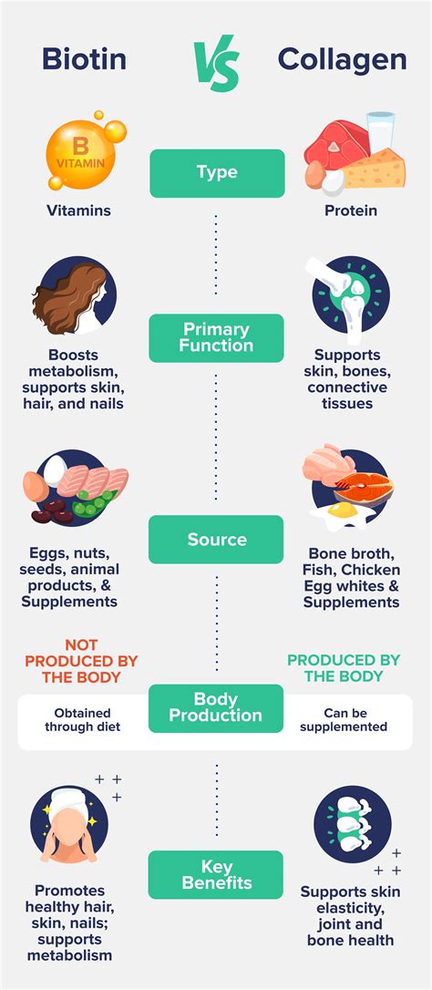 Biotin vs. Collagen: What Are the Differences? - The Nutrition Insider