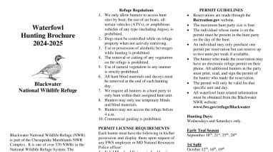 Blackwater NWR 2024-25 Waterfowl Hunt Regulations | FWS.gov