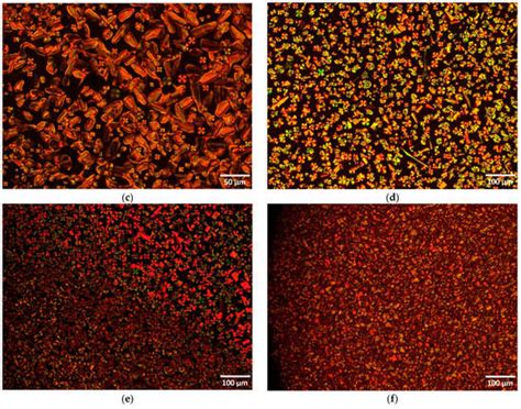 Mesomorphic and Thermal Behavior of Symmetric Bent-Core Liquid Crystal ...