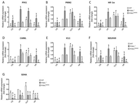 The Role of the Pathogen Dose and PI3Kγ in Immunometabolic ...