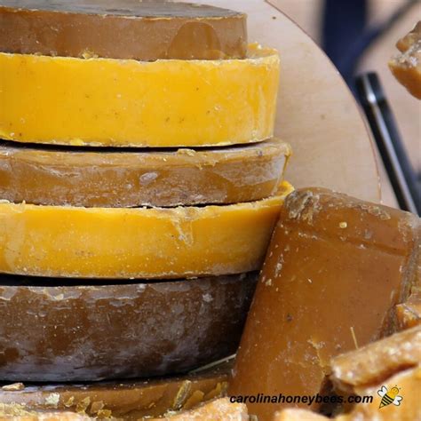 How to Make Beeswax Candles - Carolina Honeybees