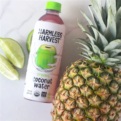 Pineapple Coconut Juice Recipe - The Coconut Mama