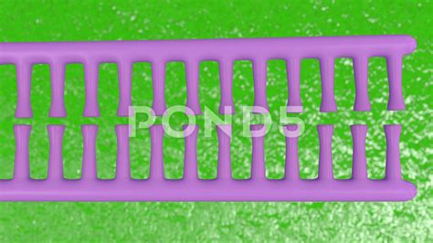 Image result for Advanced DNA Replication Animation