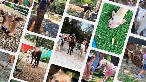 Mount Dora Christmas Parade, Lil' Bit of Life, Eustis, 2 December