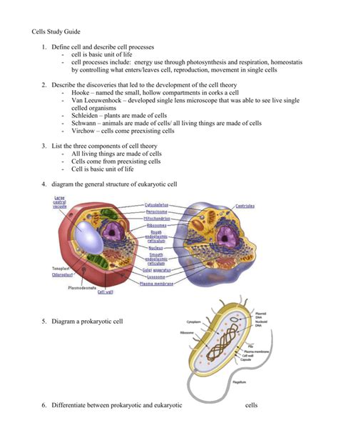 Tutorials for Cells 的图像结果