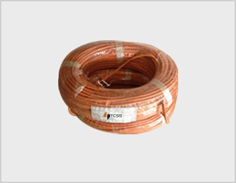 TCSS-TECHNOLOGY FOR SECURITY