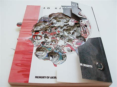 Noriko Ambe › Turmsegler