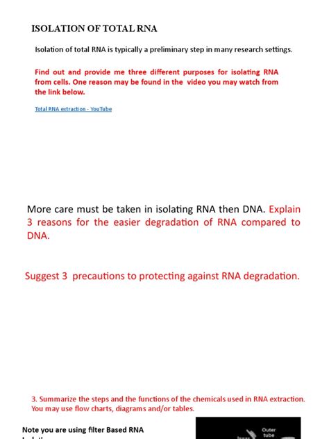 Isolation of RNA From Bacteria 的图像结果