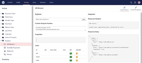 Umbraco Headless 的图像结果