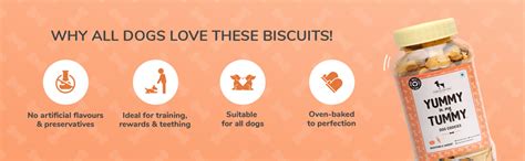 Buy Heads Up for Tails Dog Biscuits Veg - Treats Cookies (320 Gm Each ...
