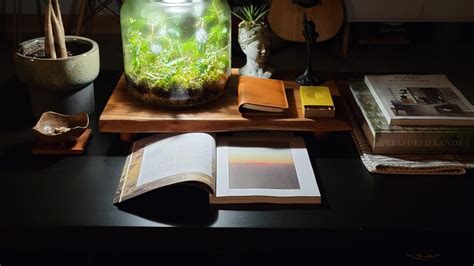 My first home : r/malelivingspace