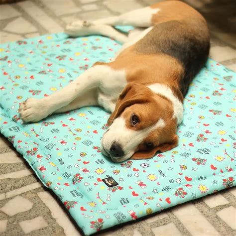 Goofy Tails Dog Mats | Best Sleeping Mats for Dogs and Puppies – GoofyTails