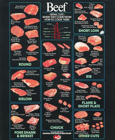 Cattle Diagrams - Retail Beef Cuts Chart