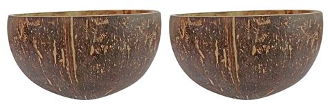 Buy NARLA Coconut Shell Cereal Bowls, 2 Pieces, Brown Online at Low ...