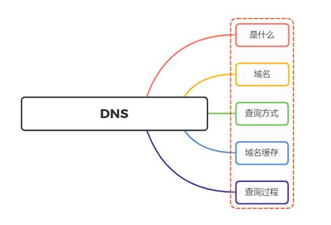 DNS 的图像结果