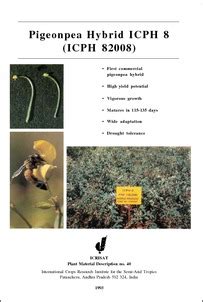 Pigeonpea Hybrid ICPH 8 (ICPH 82008) - OAR@ICRISAT