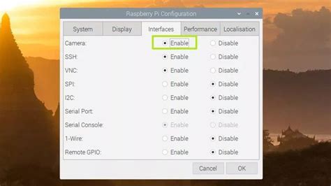 Raspberry Pi Video Stream 的图像结果