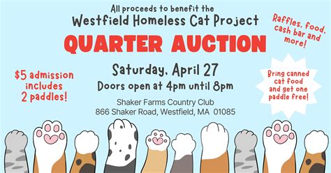 Westfield Homeless Cat Project