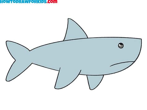 How to Draw a Shark Step by Step