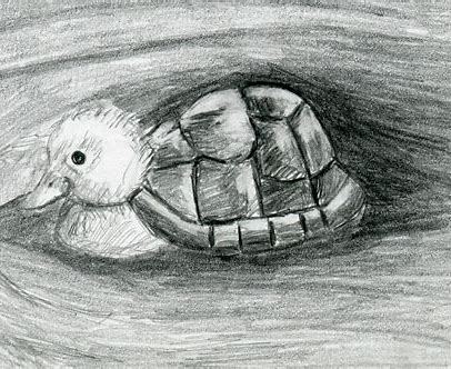 draw a beautiful fruit basket