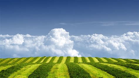 1920X1080风景 的图像结果