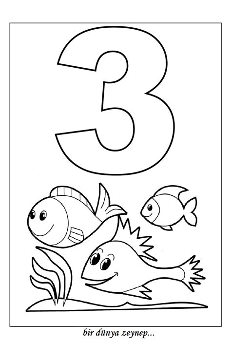 Number 3 Coloring Pages Preschool 24 Best Images About Sow The Seed Of