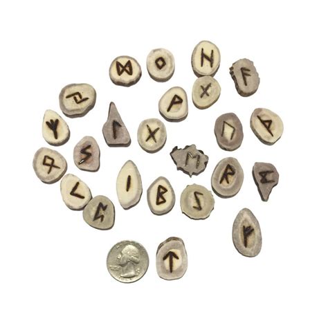 Deer Antler Slice Runes Real Stag Horn Norse Pagan India | Ubuy