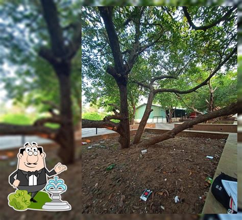 St john Technical Campus College Canteen, Palghar - Restaurant reviews