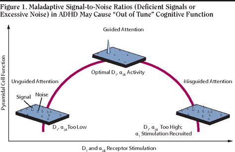 Image result for ADHD Prefrontal Cortex