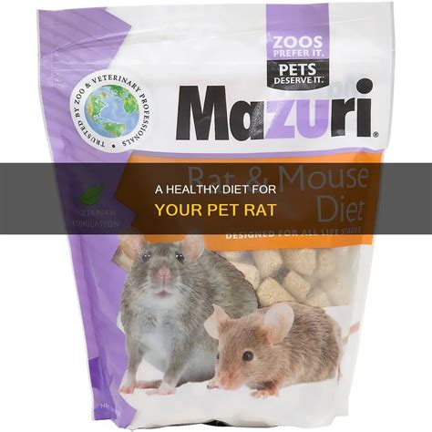 A Healthy Diet For Your Pet Rat | ShunKeto