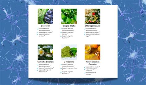 My Brain Java 的图像结果