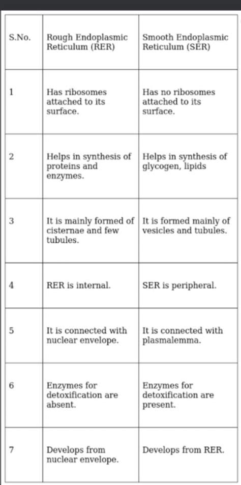 Difference between rough endoplasmic reticulum and smooth endoplasmic ...