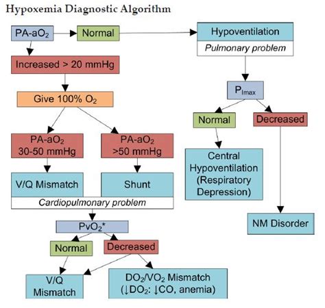 Image result for Hypoxemia Algorithm
